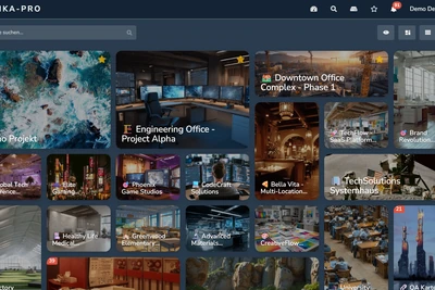 Project Overview